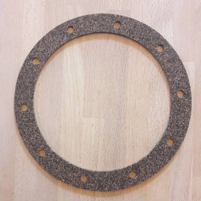 Fuel Tank Electric Pump Gasket 10917063