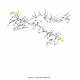 Brake Hose 7409330