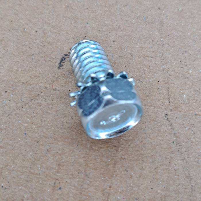 Screw and Washer 423568