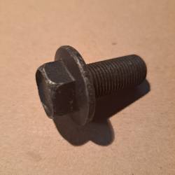 Bolt 12414307-138