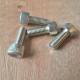 Screw G1931M