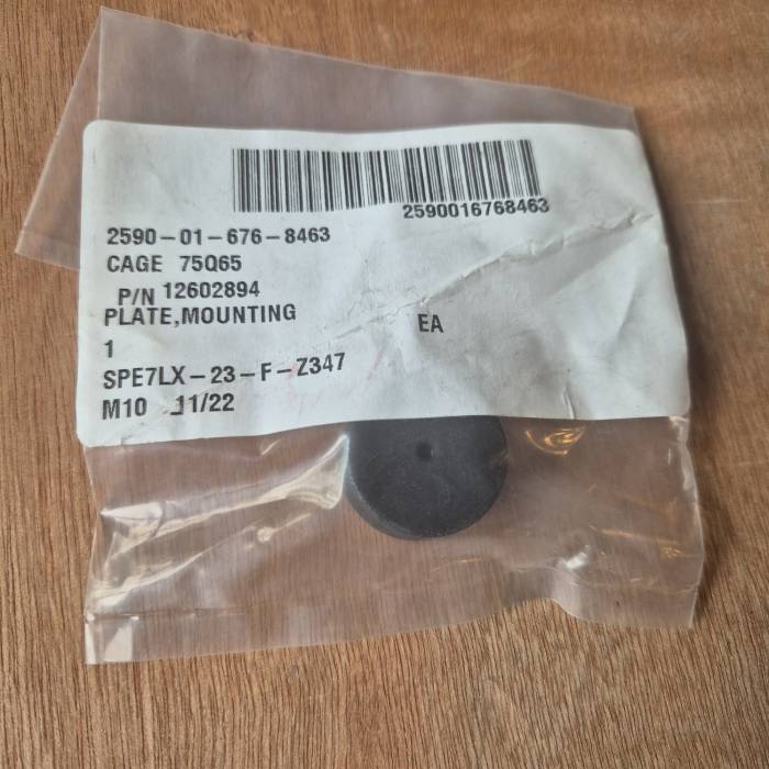 Plate Mounting 12602894