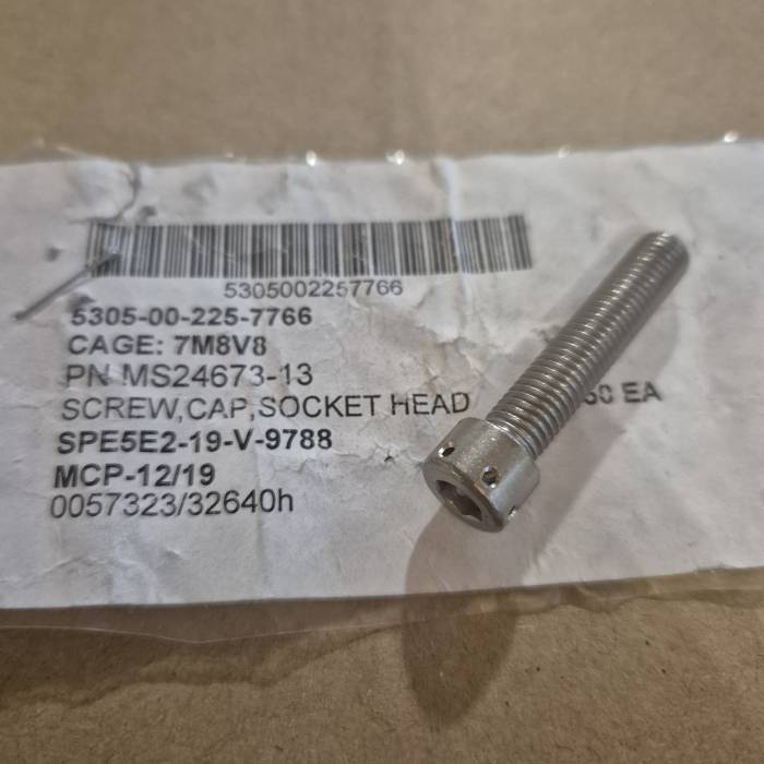 Screw MS24673-13