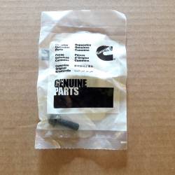 Screw Cummins 3093730