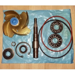 Water Pump Kit 5149407 Detroit Diesel 6v92 8V92