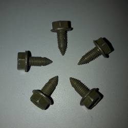 Screw 12342499-1
