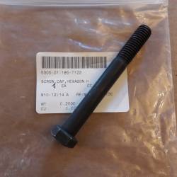 Screw 5591781